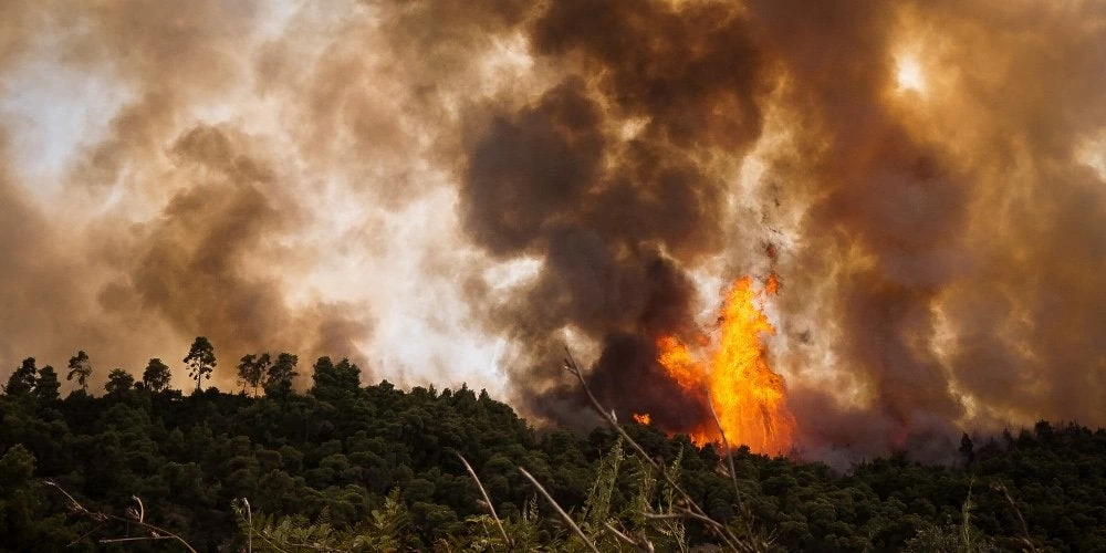 Πυρκαγιά σε δασική έκταση στο Διδυμότειχο